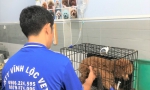 Tham khảo ngay phòng khám điều trị bệnh chó mèo Vĩnh Lộc B uy tín - 0906.224.595