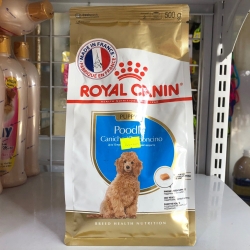 THỨC ĂN ROYAL CANIN JUNIOR DÀNH CHO POODLE GÓI 500G