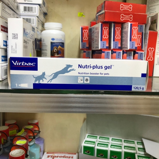 Kem ăn dinh dưỡng chó mèo Nutri plus Gel