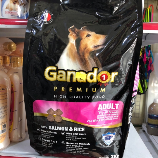 20kg - Ganador Adult vị cá hồi - Thức ăn chó trưởng thành