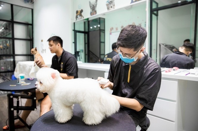 Spa & grooming làm đẹp thú cưng bình tân 